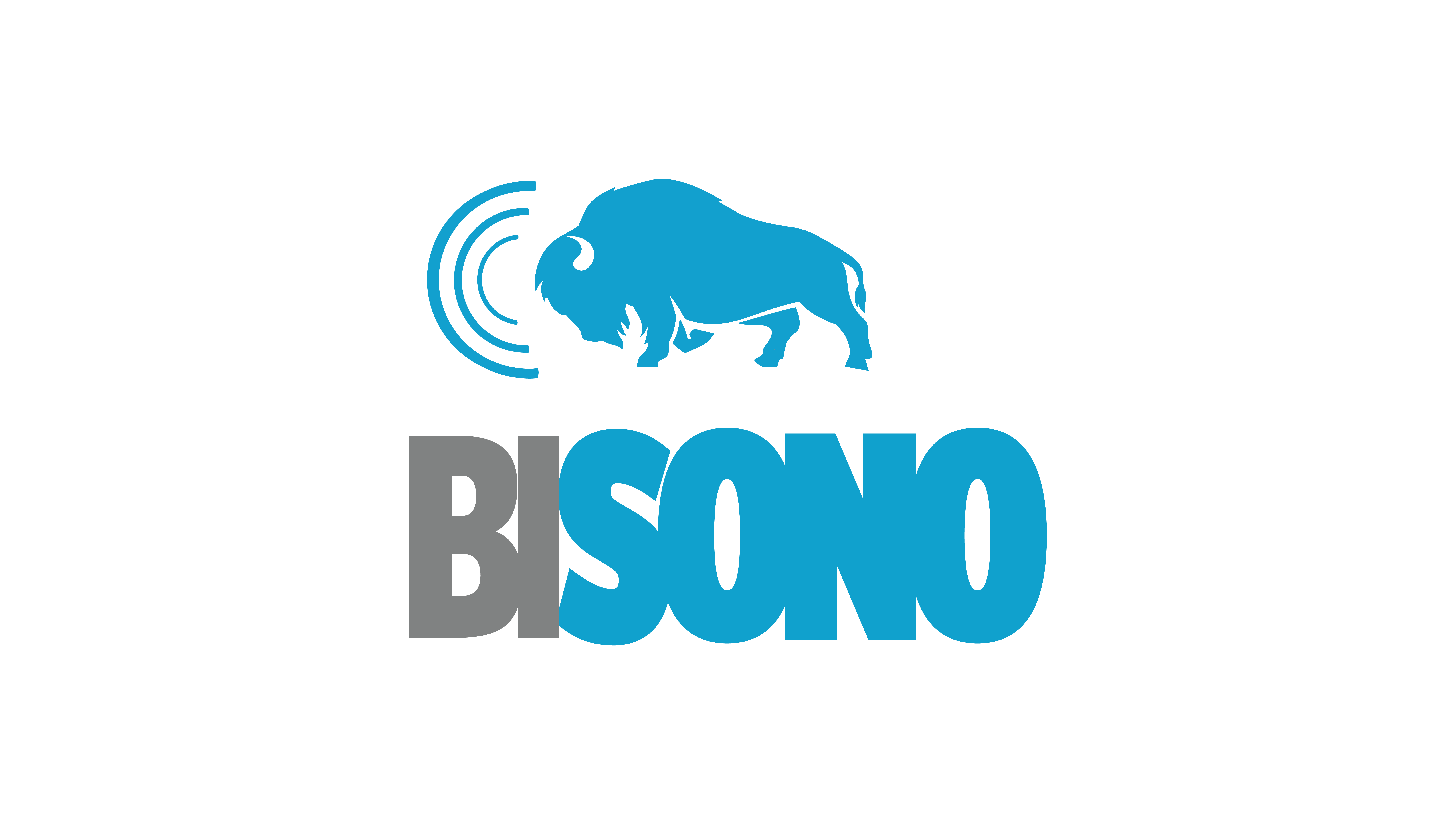 Bisono Medical - Ultraschall & Medizintechnik